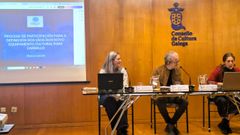 La concejala Maruxa Su�rez habl� sobre el proyecto de consulta sobre el futuro equipamiento cultural en el Consello da Cultura Galega