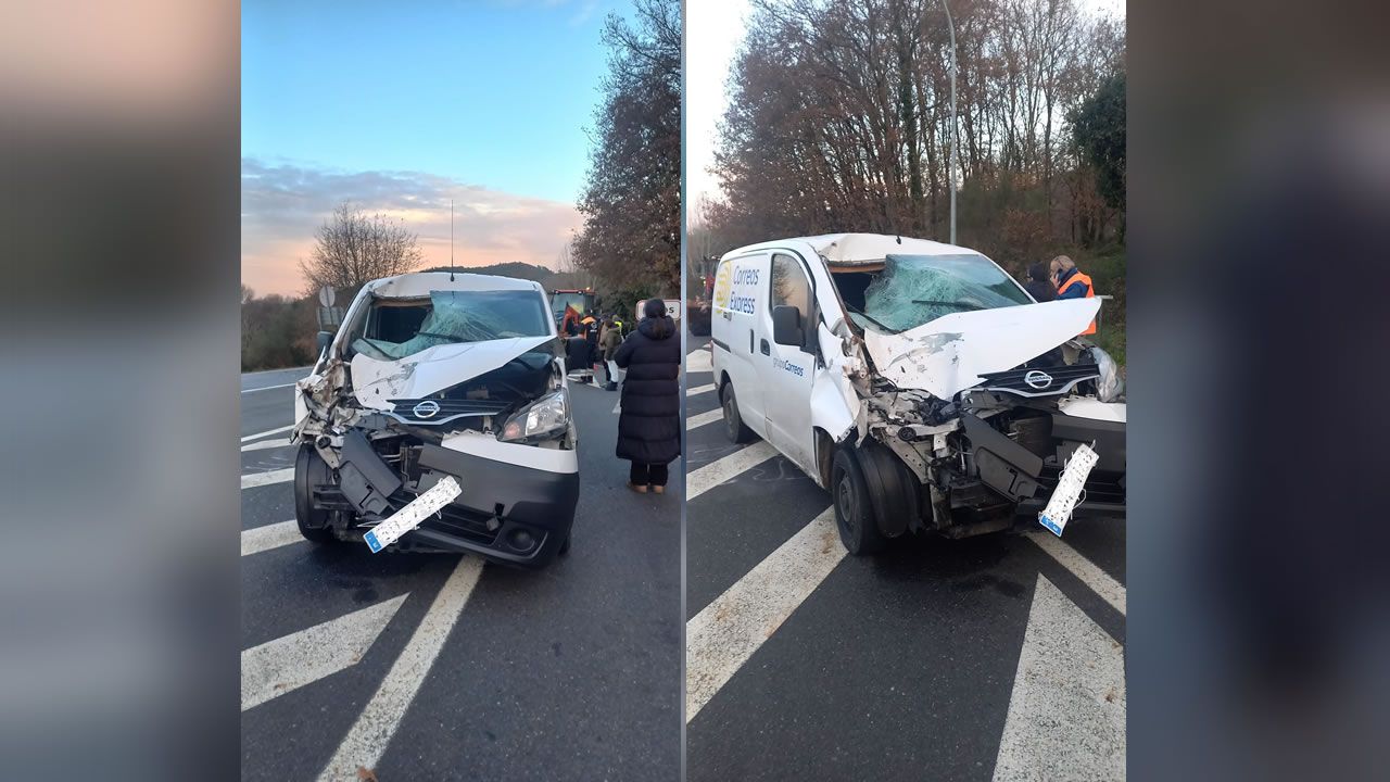 Una furgoneta atropella a un caballo que cruzaba al galope la OU-536 en Esgos