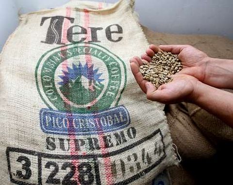 La empresa arousana trabaja con caf�s especiales de todo el planeta.