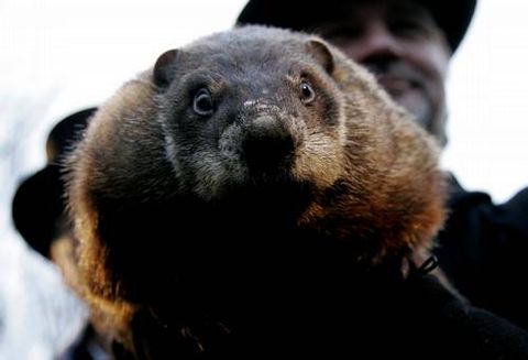 Phil pronostica seis semanas m�s de invierno