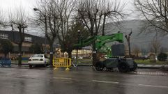 La poda afecta a la avenida Condesa de Fenosa