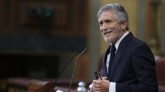 El ministro del Interior, Fernando Grande-Marlaska, interviene en el pleno del Congreso de los Diputados, este mi�rcoles en Madrid.