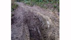 El abandono de los caminos de Oviedo