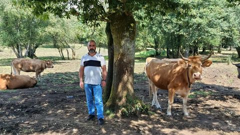 Pablo tiene m�s de 60 cabezas de ganado en la parroquia de Rodeiro.