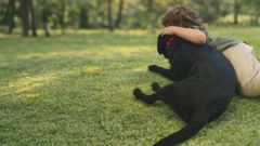 Imagen de archivo de un ni�o participando en el proyecto Dogpoint