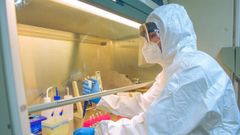 El Instituto de estudios celulares y moleculares, en Lugo, tiene capacidad para hacer 3.000 al d�a