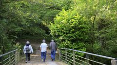 Ruta de senderismo a orillas del r�o Sarria