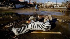 Enfermos ficticios piden por las calles de Madrid
