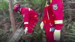 Se estrella un avi�n en China con 132 ocupantes a bordo
