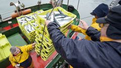 Toda la flota del norte peninsular puede ya capturar caballa del Mi�o al Bidasoa.
