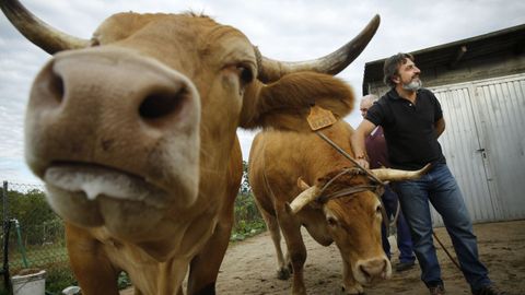 El proyecto de Discarlux es uno de los que se presentar�n en el foro