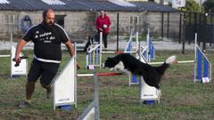 Centro de adiestramiento canino Lobos de Nara�o