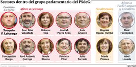 Sectores dentro del grupo parlamentario del PSdeG