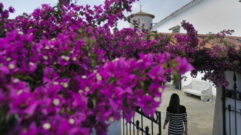 Los propietarios mantienen en muy buen estado la flora y la vegetación 