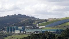 Imagen de archivo de la planta de Nostin