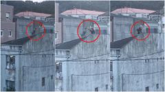 La secuencia de la detenci�n de Daniel V�zquez Pati�o, uno de los fugitivos m�s buscados del pa�s, en im�genes