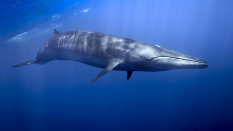 La exposici�n puede verse de martes a domingo