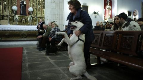 MISA Y BENDICIN DE LAS MASCOTAS CON MOTIVO DEL SAN ANTONIO EN LA IGLESIA DE LA ORDEN TERCERA