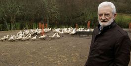 Silverio Tall�n, en la finca de Vilardev�s donde crecen los patos que sustentan la producci�n de ��nades Galicia�. 