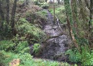 Vertido desde el Cavi de Os Irmandi�os a un afluente del r�a que abastece la red general de agua a Ribadeo
