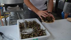 La Festa do Percebe de Cedeira, en una edici�n anterior.