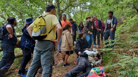 Ruta micol�gica en Celanova