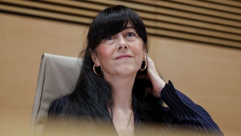La presidenta de la Sociedad Espa�ola de Participaciones Industriales (SEPI), Bel�n Gualda, compareci� este martes en el Congreso