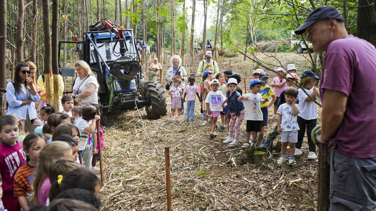 El CEIP Frián de Teis planta árboles autóctonos en el parque forestal de A Madroa