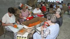 �Mira, paso a paso, la confecci�n de las alfombras florales de A Milagrosa!