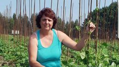 Mar�a Jos� Vald�s, presidenta de la Asociaci�n de Productores Profesionales de Faba Asturiana, muestra su plantaci�n