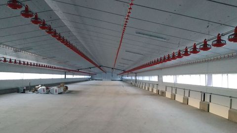 Interior dunha explotaci�n da parroquia de Roimil que axi�a comezar� a funcionar