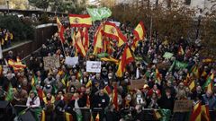 Imagen de la concentraci�n convocada por Vox en la Plaza de Col�n, en Madrid.