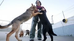 Nueva alerta de Os Palleiros ante la masificaci�n del refugio