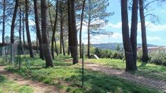 El parque canino sustituir� al abierto hace a�os en la urbanizaci�n de Porto Avieira