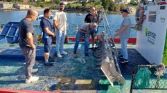 Una delegaci�n de cofrad�as de la r�a de Ferrol visita la lonja de Campelo para conocer c�mo se trabajan los bancos marisqueros con arados desde un barco