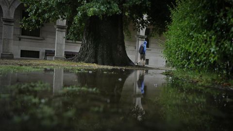 El jardn de San Carlos se construy en 1834 y acoge veinte ejemplares de Ulmus x hollandica Mill. que conforman la nica olmeda protegida y catalogada como BIC de Galicia.