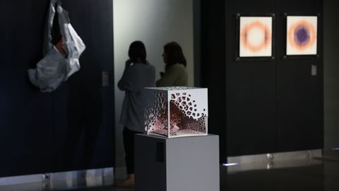 Obras de la exposici�n  La inmolaci�n de las c�lulas  en el MUNCYT