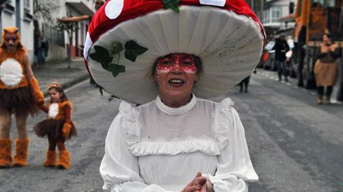 Cientos de personas desfilaron por las calles de Ferreira de Pantón este 25 de febrero, en el último carnaval que se celebra en la Ribeira Sacra