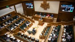 Imagen de un pleno del Parlamento vasco