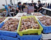 La organizaci�n prev� repartir hoy m�s de 2.500 raciones de lac�n