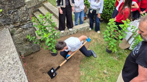 Alumnos de sexto de las Disc�pulas plantaron ayer especies ornamentales en el parque Ra��a Sof�a en Ferrol.