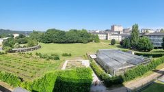 La vaguada del campus de Lugo se est reformando tras un proyecto diseado por alumnos de Paisaxe. 