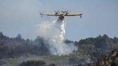 Imagen de archivo de un hidroavi�n descargando en un incendio forestal