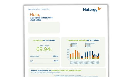 Una factura de la luz ficticia.