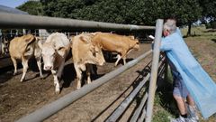 Varios ganaderos observan las reses que subasta el CIAM de Mabegondo.
