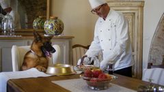 El chef personal de Gunther le da un chulet�n para comer