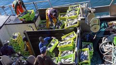 Descarga de pescado en la lonja de Ribeira, cuya empresa gestora figura entre las diez primeras en facturaci&oacute;n