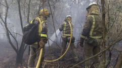 Foto de archivo de un equipo de bomberos forestales en una intervencin en Santiago.