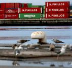 La terminal de contenedores es hoy por hoy el motor de la Autoridad Portuaria de Vilagarc�a. 