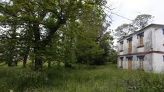 La finca fue vista como id�nea, en los a�os noventa, para la guarder�a, pero la idea no prosper�